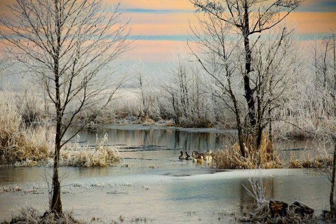 Тузлівські лимани та природа Міжрічинського. Як цікаво провести час у нацпарках взимку