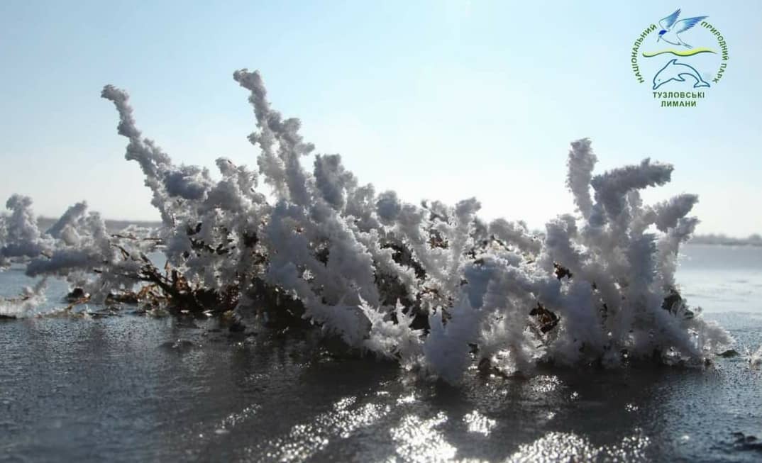 Тузлівські лимани та природа Міжрічинського. Як цікаво провести час у нацпарках взимку