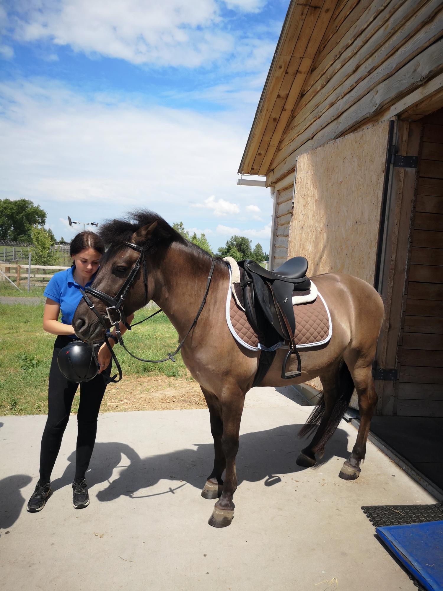 От взрывов содрогалась земля. Как переживают войну дикие животные в известном украинском парке природы