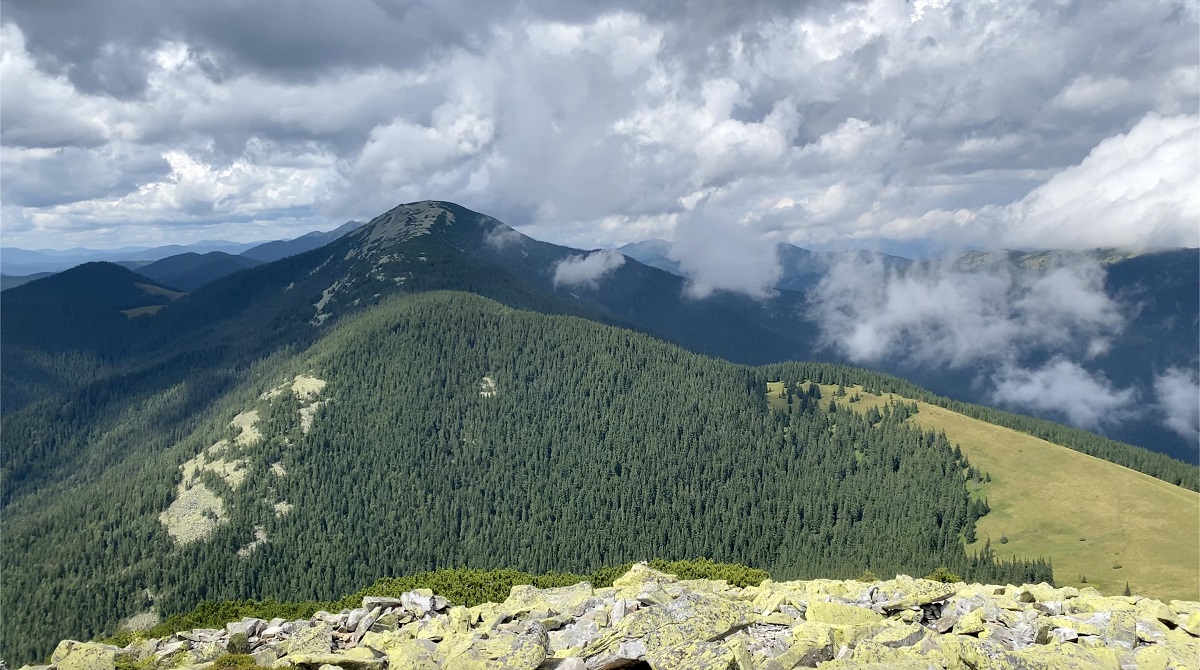 Идеальный маршрут на один день в Карпатах. Детальный разбор треккинга на гору Хомяк