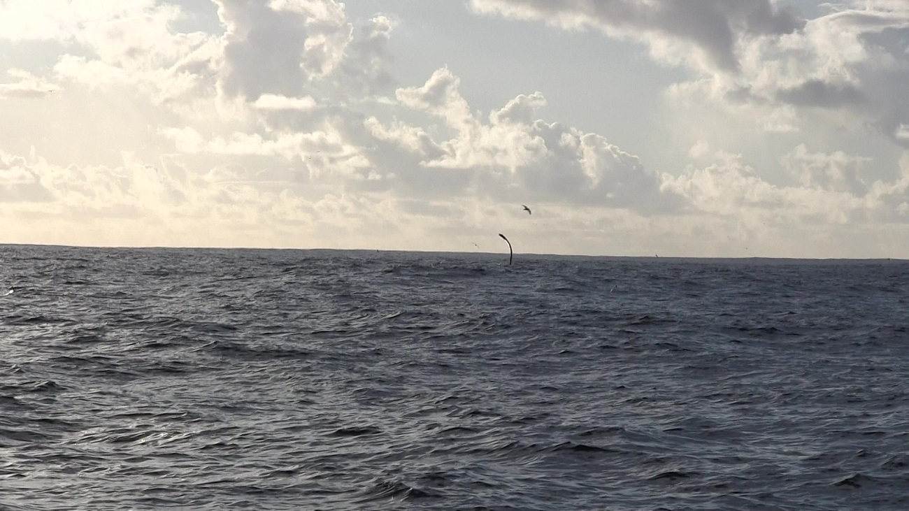 Звалище космічних відходів, акули і &quot;уламки кришталю&quot;: чим дивує атол Дюсі - острів в архіпелазі Піткерн