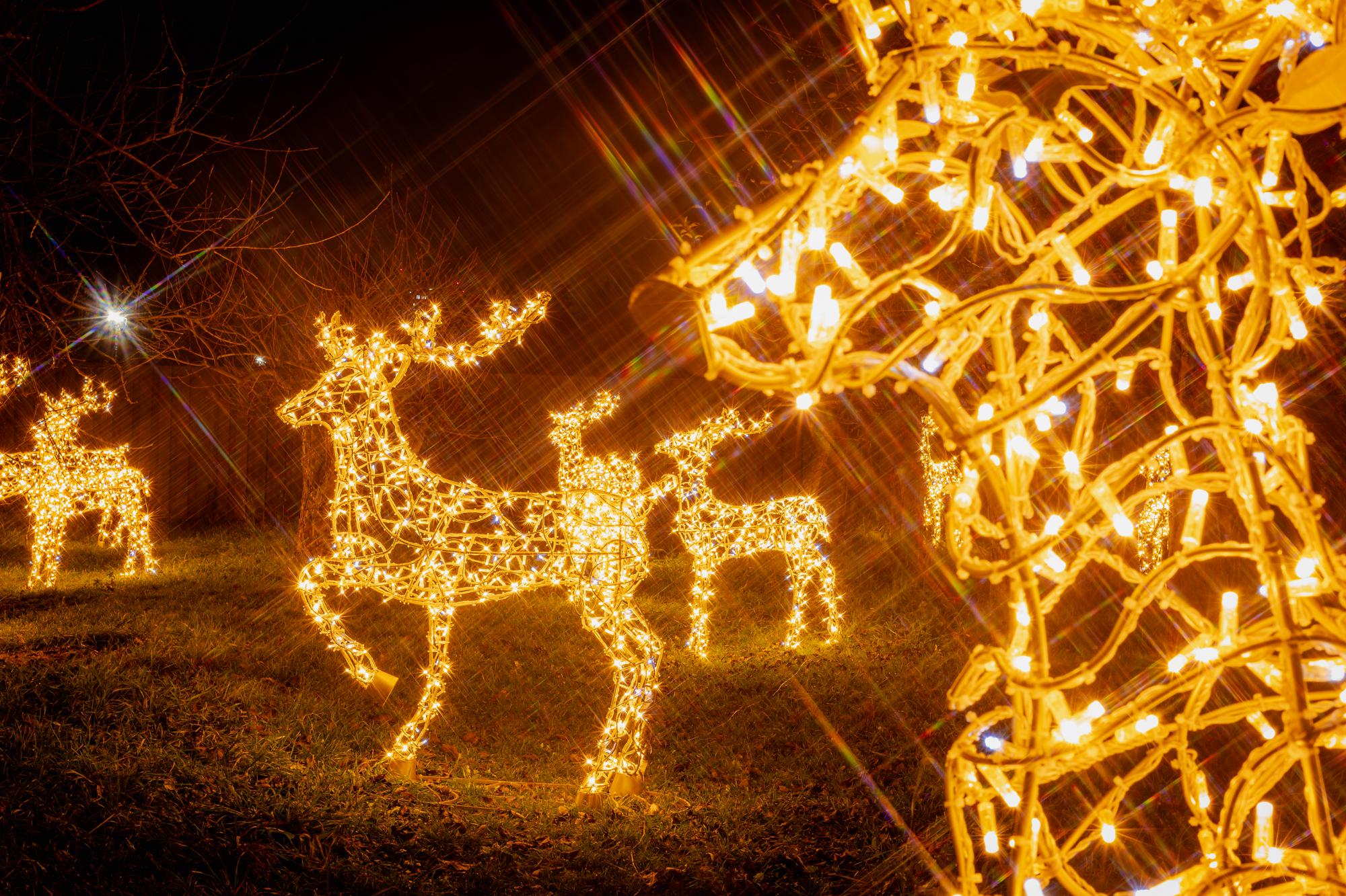 &quot;Зимова країна&quot; на ВДНГ: мегакаток, домик Санты и другие развлечения для всей семьи