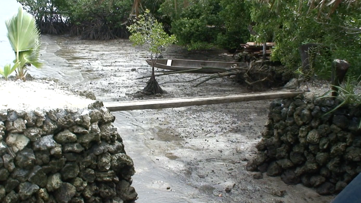Острів Малаїта й таємнича культура: як насправді живуть місцеві мешканці &quot;за межею цивілізації&quot; у Тихому океані