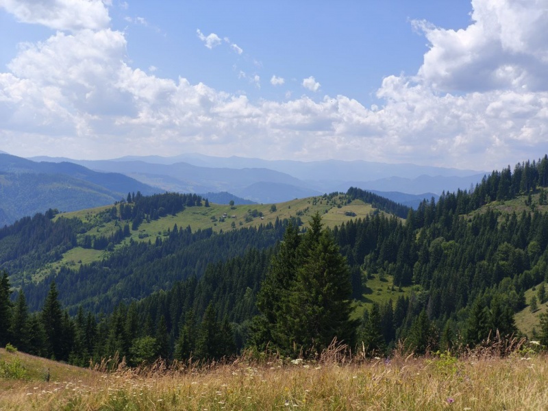 Painted Stone legend: Uncovering Ukrainian Carpathians’ mystical wish-granting symbol