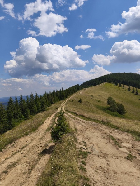 Painted Stone legend: Uncovering Ukrainian Carpathians’ mystical wish-granting symbol