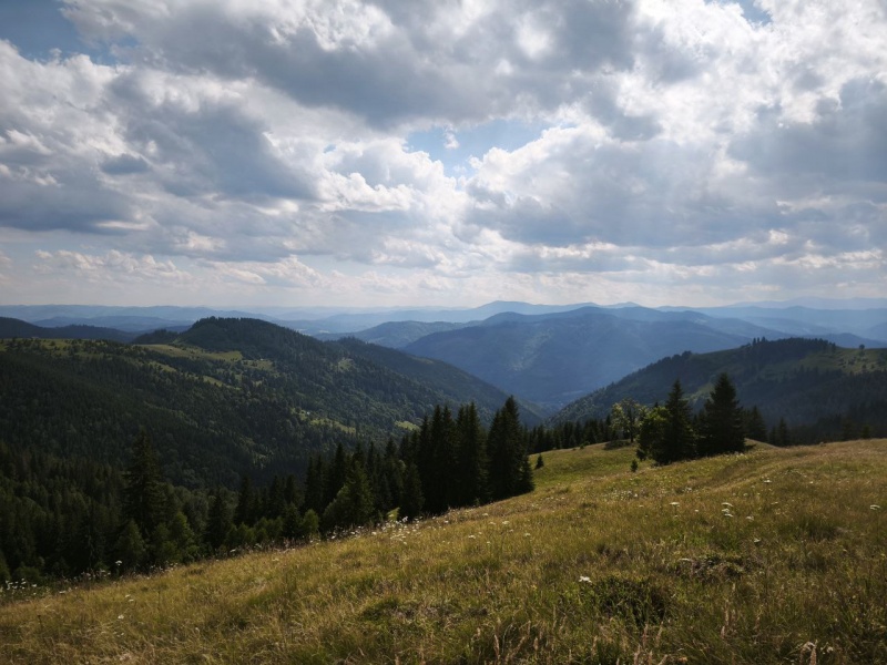 Painted Stone legend: Uncovering Ukrainian Carpathians’ mystical wish-granting symbol