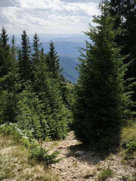 Painted Stone legend: Uncovering Ukrainian Carpathians’ mystical wish-granting symbol