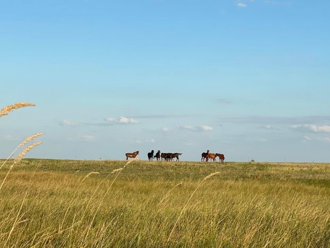 Острова, греческие традиции и кухня юга: 10 вещей, которые стоит успеть сделать на Приазовье в бархатный сезон