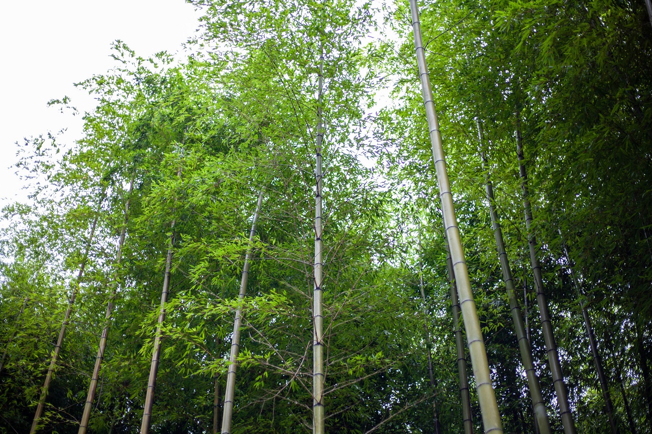 Не только Тбилиси. Неочевидные локации Грузии для погружения в местную культуру