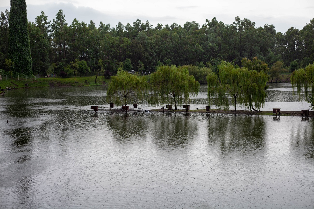 Не только Тбилиси. Неочевидные локации Грузии для погружения в местную культуру