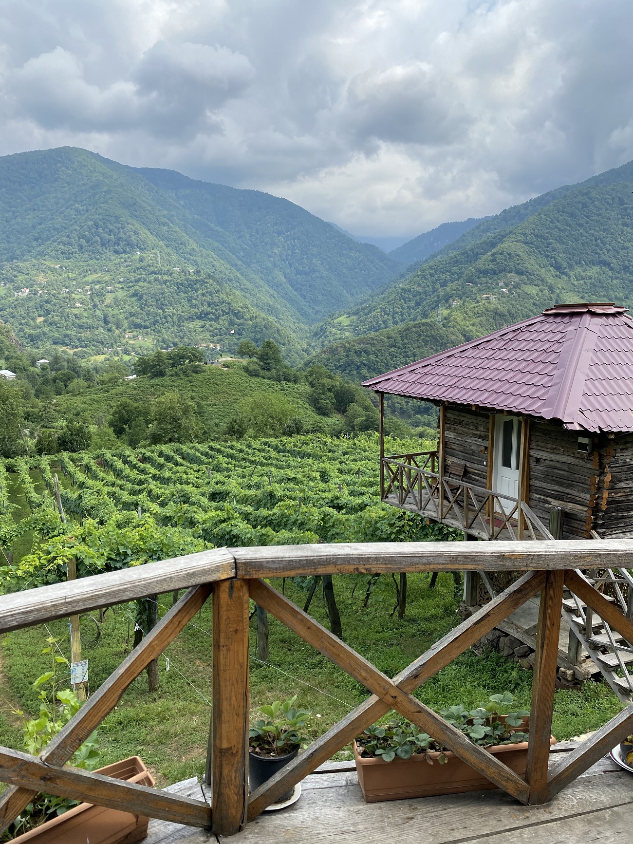 Вражаючі краєвиди, унікальні пляжі та вино: як провести незабутню відпуску в Батумі
