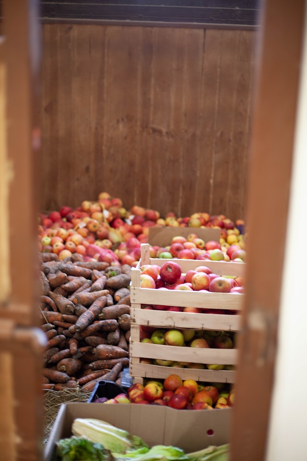 &quot;Одному коню потрібно 18 кг корму на добу&quot;. Як рятують тварин у Києві під час війни