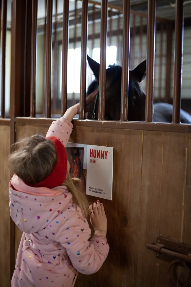 &quot;Одному коню потрібно 18 кг корму на добу&quot;. Як рятують тварин у Києві під час війни