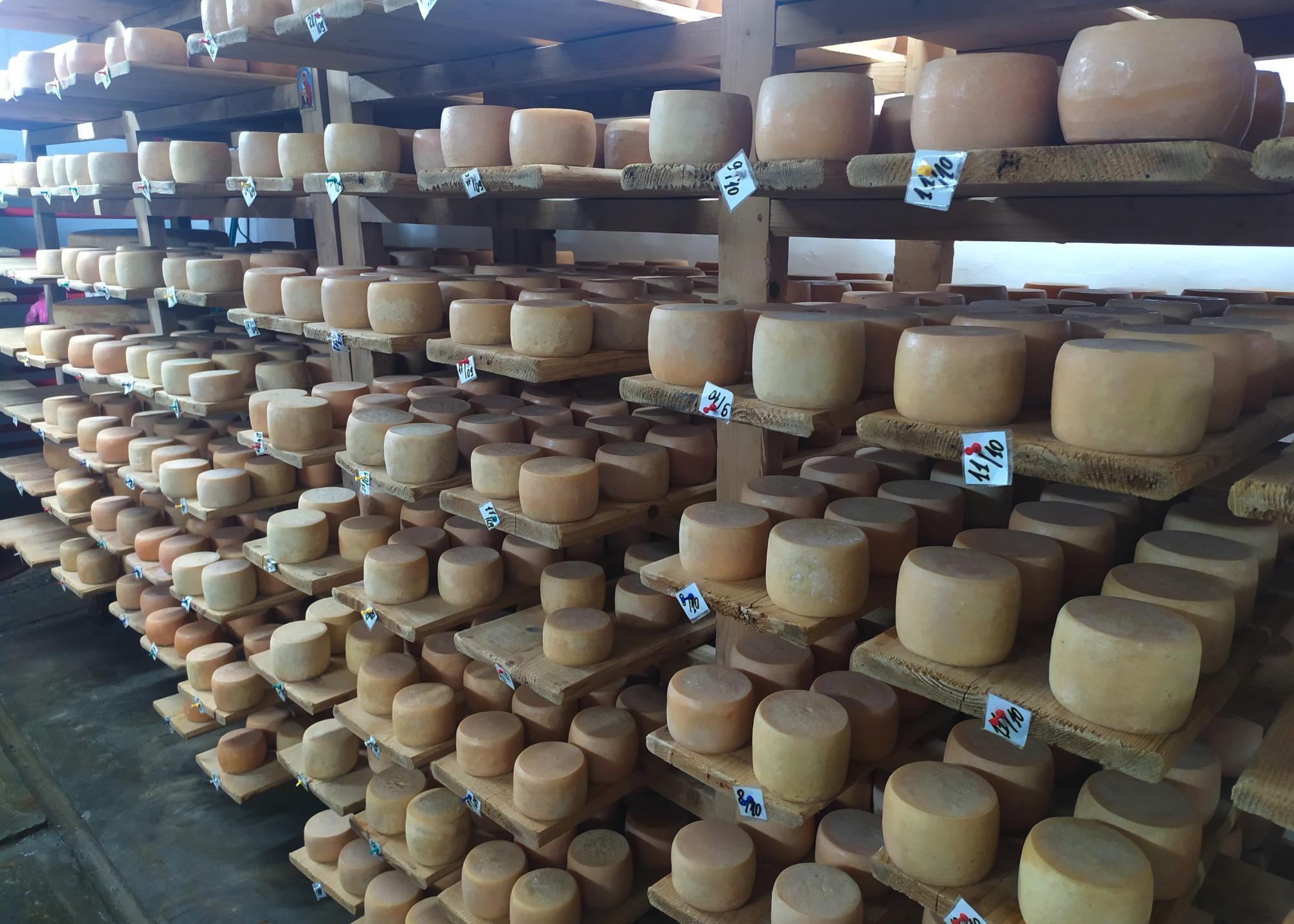 Гори, терми та делікатеси. Путівник найцікавішими локаціями Закарпаття для зимового відпочинку