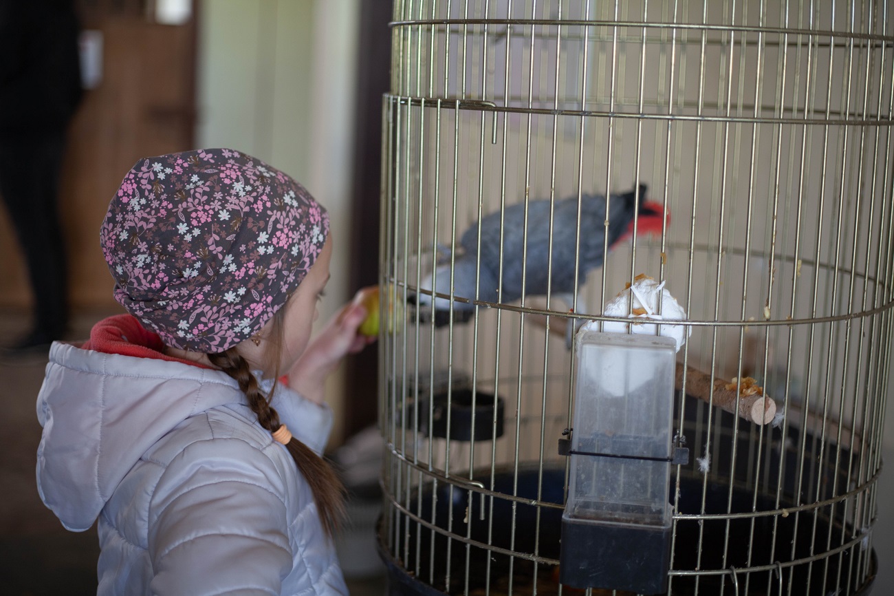 &quot;Одному коню потрібно 18 кг корму на добу&quot;. Як рятують тварин у Києві під час війни