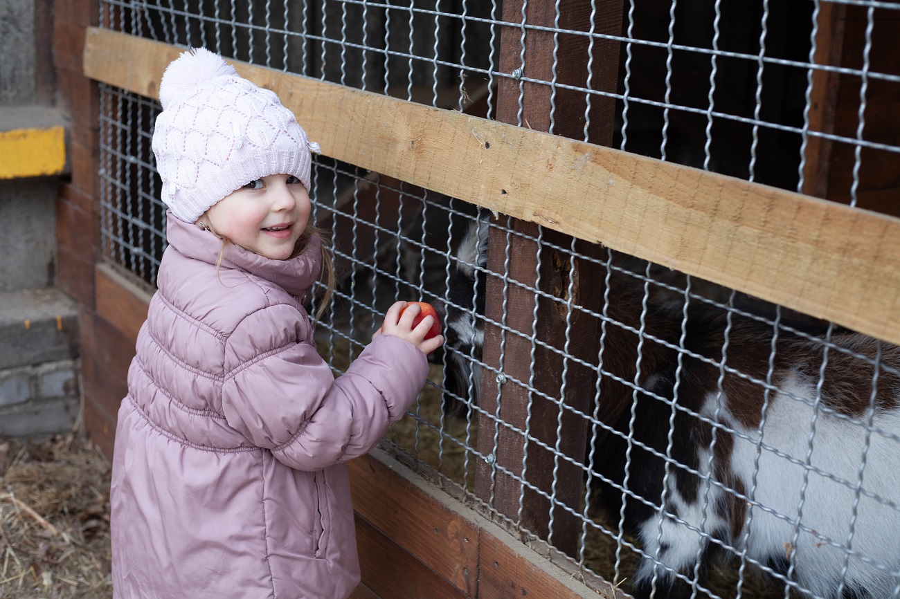&quot;Одному коню потрібно 18 кг корму на добу&quot;. Як рятують тварин у Києві під час війни