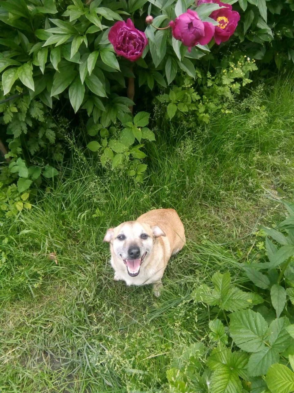 Актор Ярослав Герус: Після перемоги у війні Україну чекає стрімкий розвиток