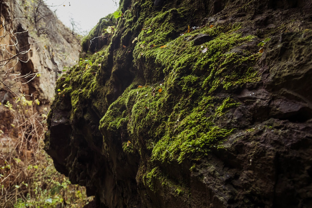 Штольни, затерянный дворец и бирюзовый карьер. Нетипичные локации Кировоградщины для первого путешествия по региону