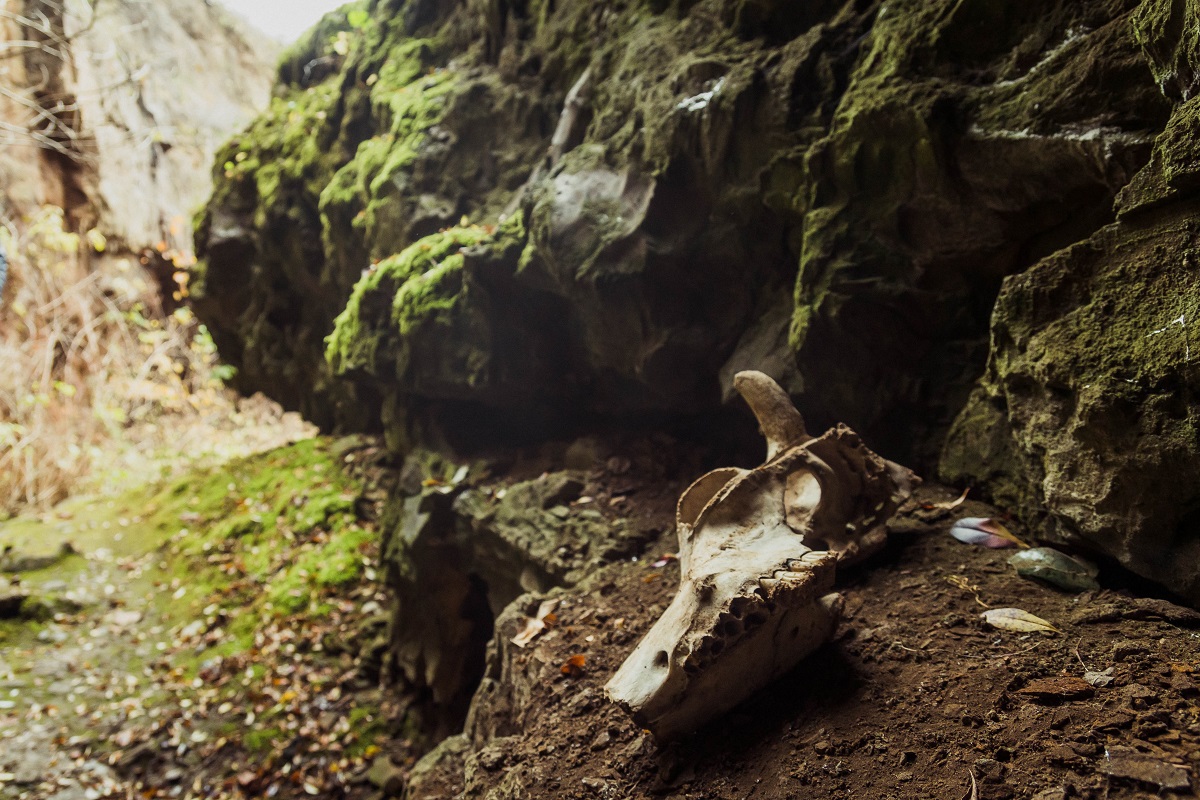 Штольни, затерянный дворец и бирюзовый карьер. Нетипичные локации Кировоградщины для первого путешествия по региону