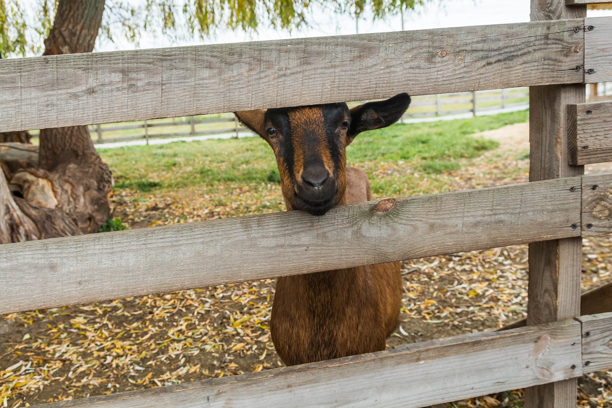 Штольни, затерянный дворец и бирюзовый карьер. Нетипичные локации Кировоградщины для первого путешествия по региону