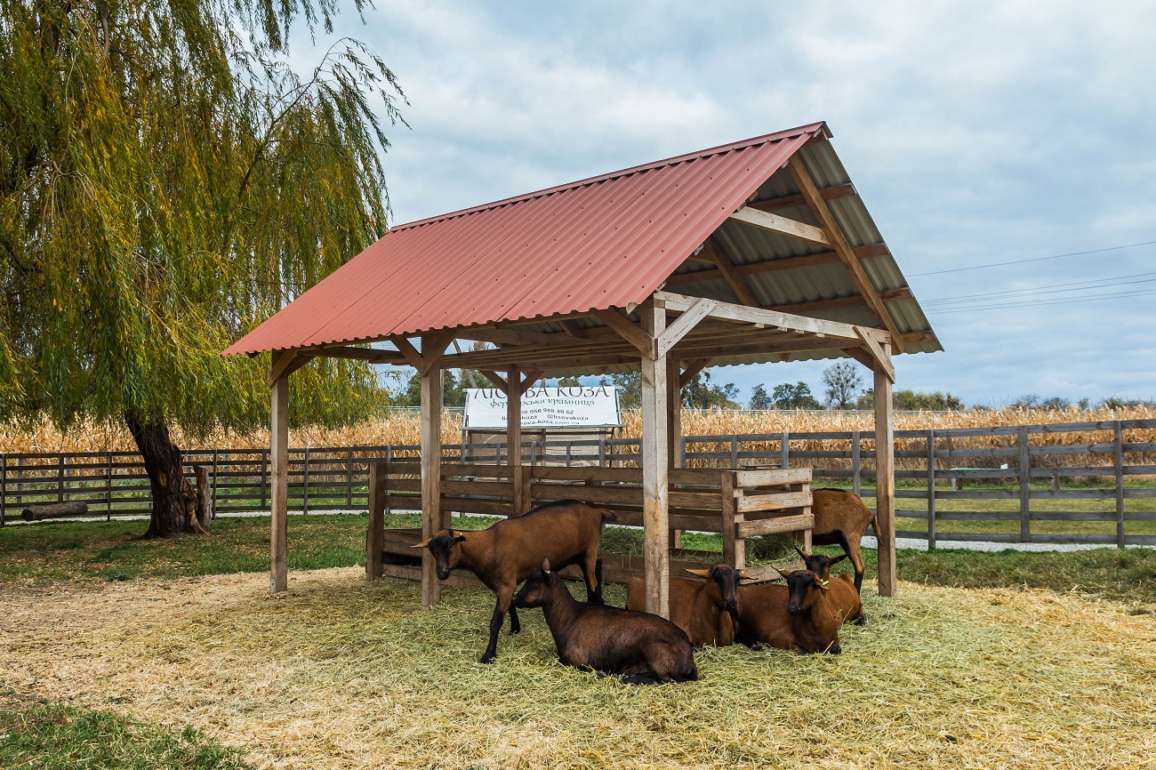 Штольни, затерянный дворец и бирюзовый карьер. Нетипичные локации Кировоградщины для первого путешествия по региону