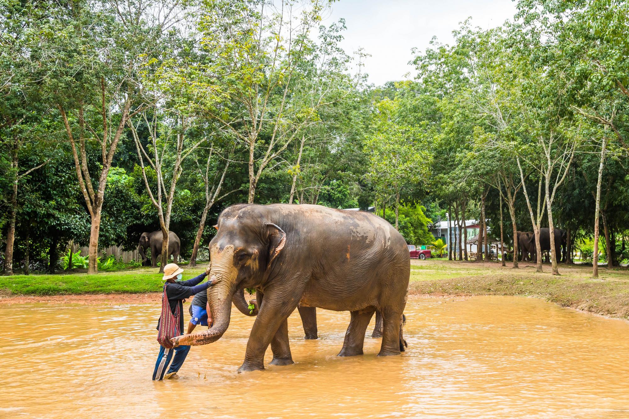 Острови, джунглі та вілли за зниженими цінами. Як відпочити на Пхукеті після локдауну