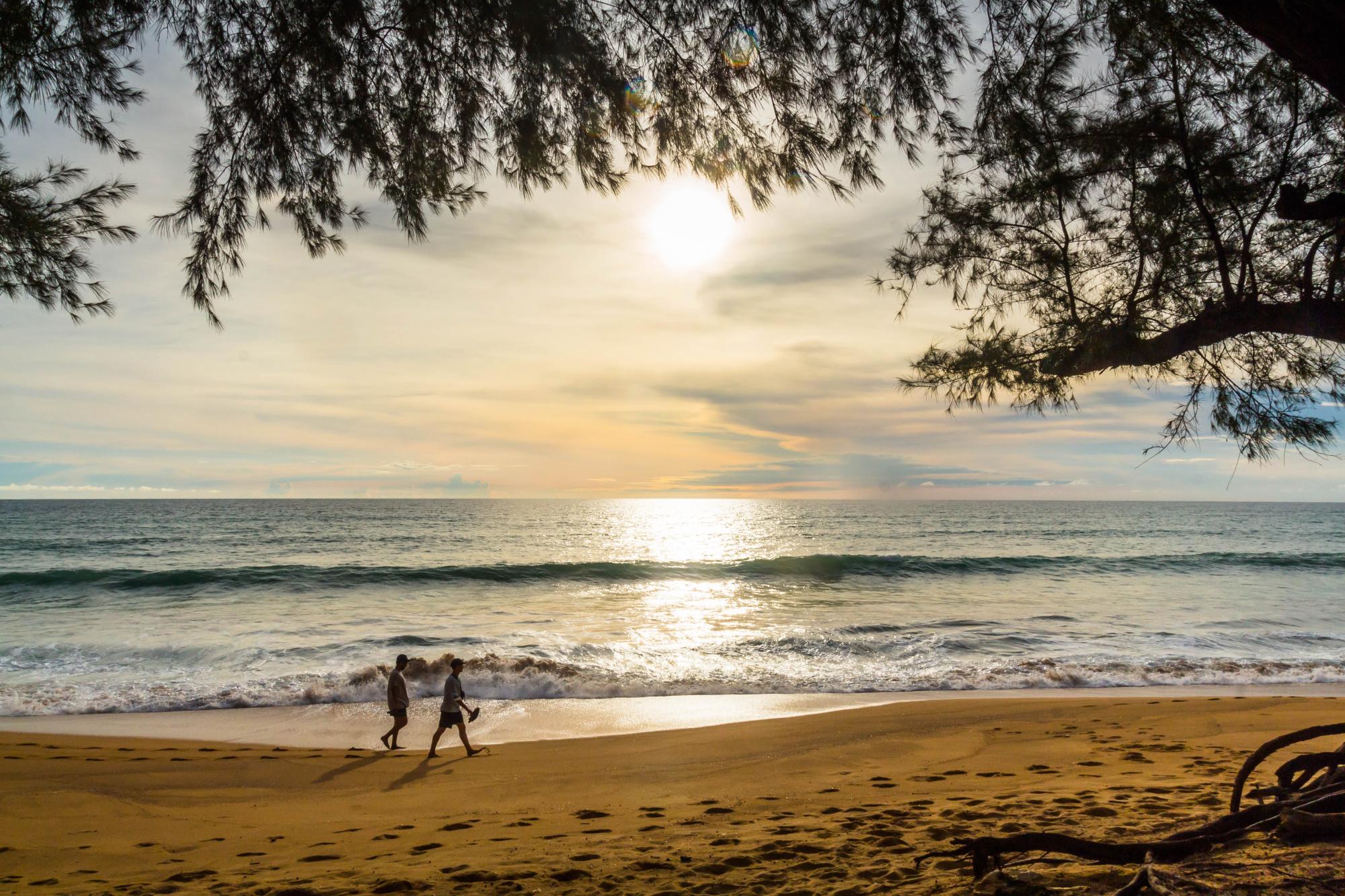Палаци, пляжі і &quot;все включено&quot;: порівнюємо особливості зимового відпочинку в Таїланді і Домінікані