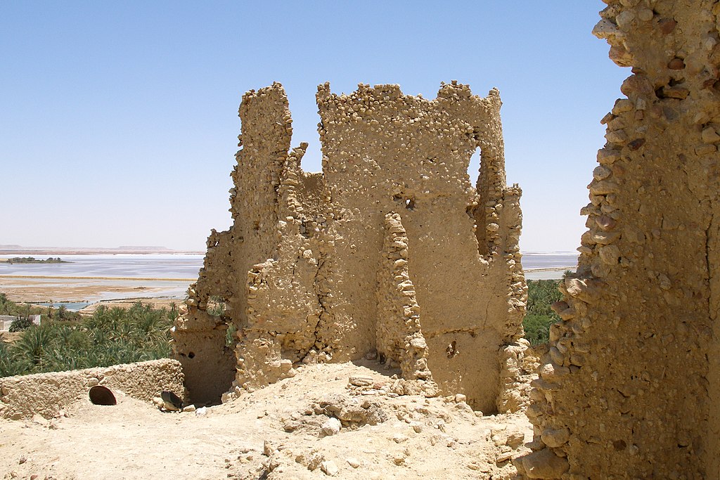 Райский остров или безлюдная пустыня: что стоит учитывать, собираясь в знаменитый оазис с солеными озерами в Египте