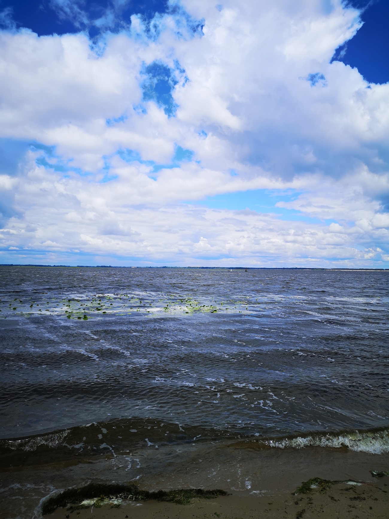 Найкращі види на Дніпро. Чотири місця для споглядання природи неподалік від столиці: готовий маршрут