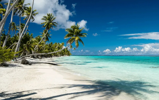 Лучшие пляжи мира в 2025 году: эксперты назвали топ-50 мест, которые подарят райское наслаждение