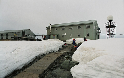 Tour to Antarctica - How Ukrainians can visit edge of Earth in 2025