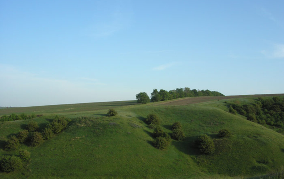 Вершини України: де здіймаються найвищі точки в різних областях