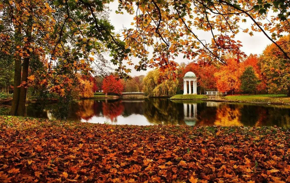 Осіння магія: 6 парків і заповідників України, де природа перетворюється на казку
