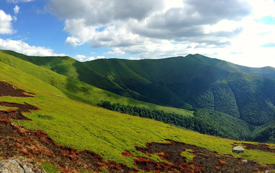 Де в Україні видно Чумацький Шлях неозброєним оком: топ-локації астротуризму