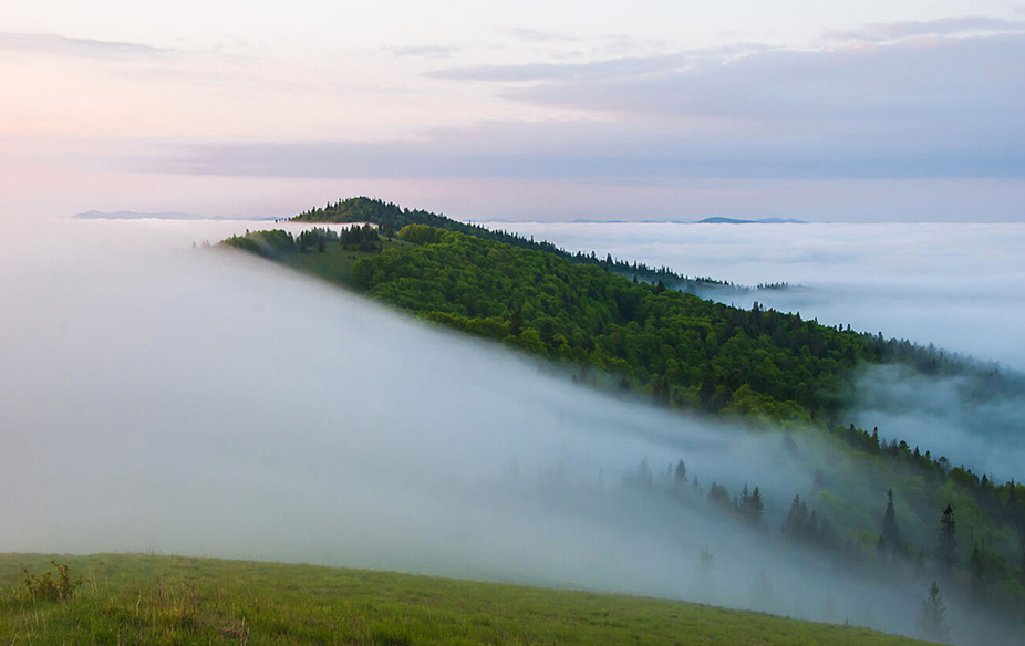 Де в Україні видно Чумацький Шлях неозброєним оком: топ-локації астротуризму