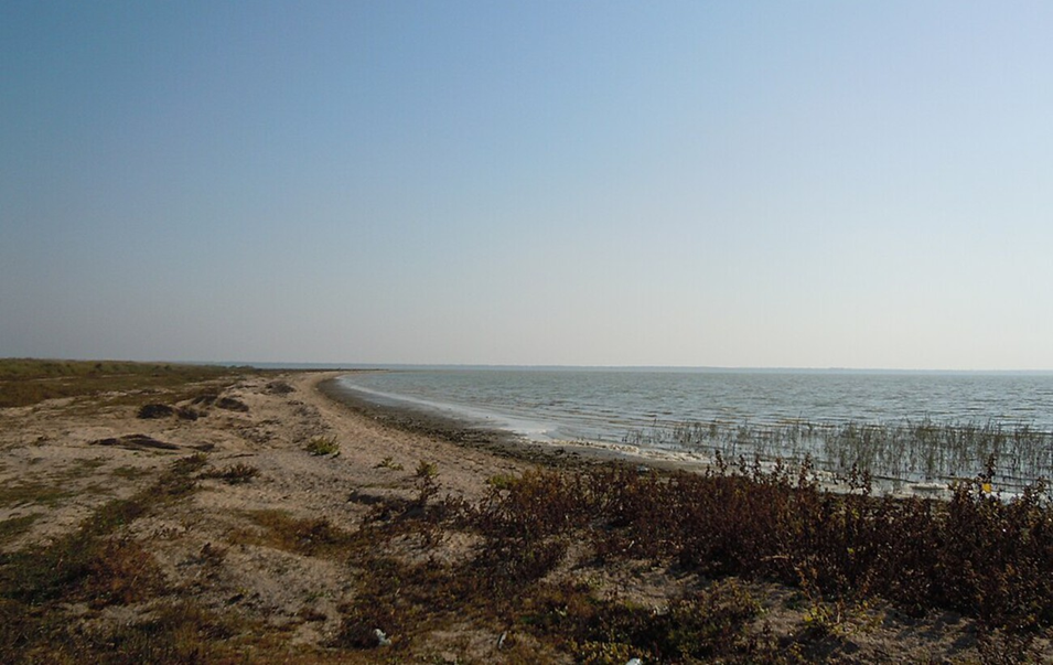 Де в Україні видно Чумацький Шлях неозброєним оком: топ-локації астротуризму