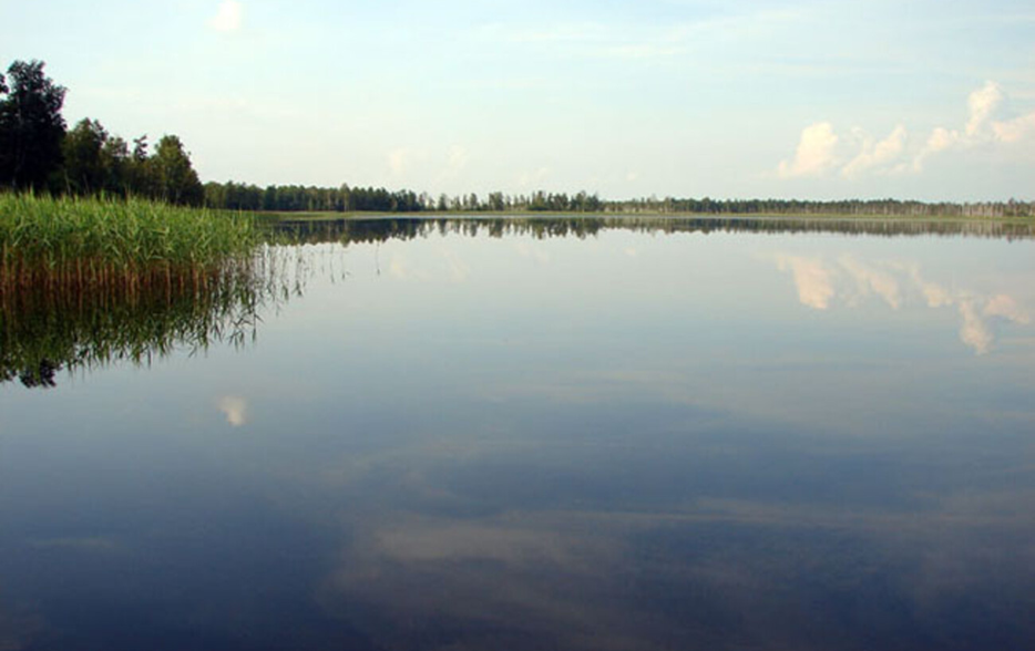 Де в Україні видно Чумацький Шлях неозброєним оком: топ-локації астротуризму