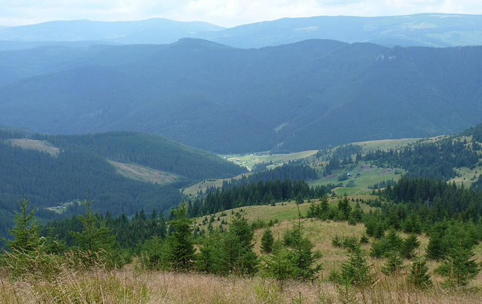 Секретна станція, фестивалі та корови "з гонором": як живуть у найважкодоступнішому селі України