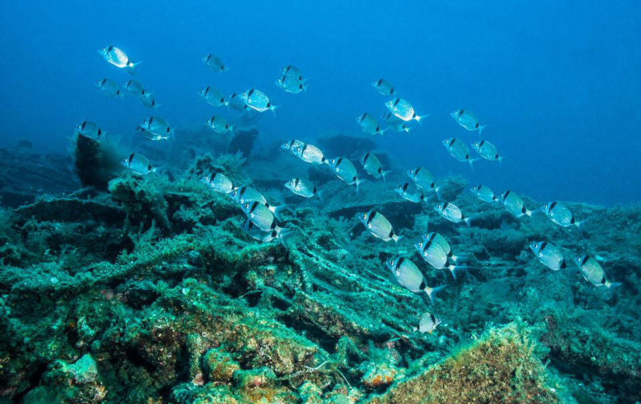 &quot;Место большой истории&quot;. В Турции открыли масштабный подводный парк на месте боев за Дарданеллы