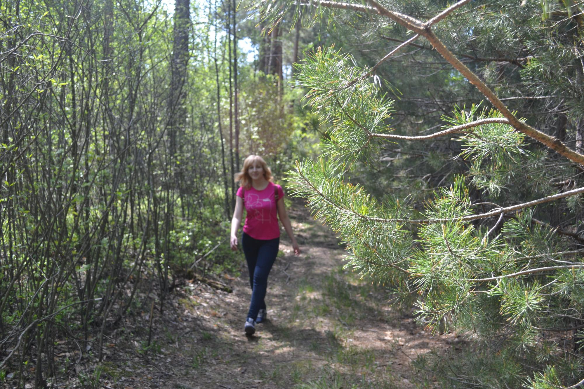 Насладиться золотой осенью. Самые красивые природные парки Украины для путешествий в октябре
