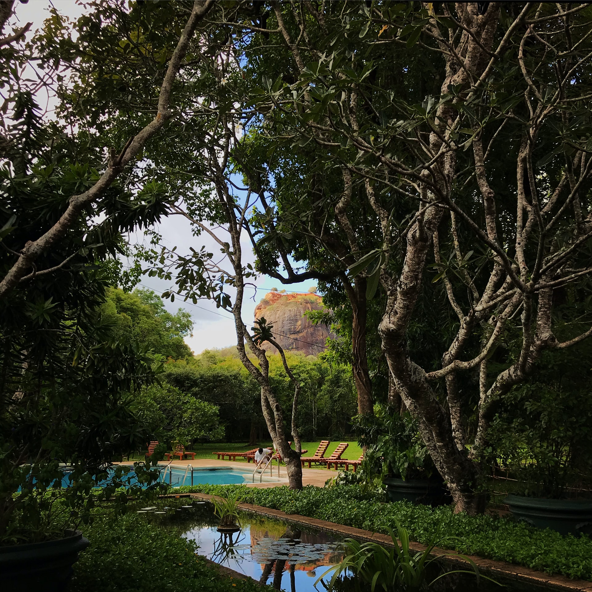 На Шрі-Ланці чекають на українських туристів. Скільки коштують путівки на екзотичний острів на Різдво