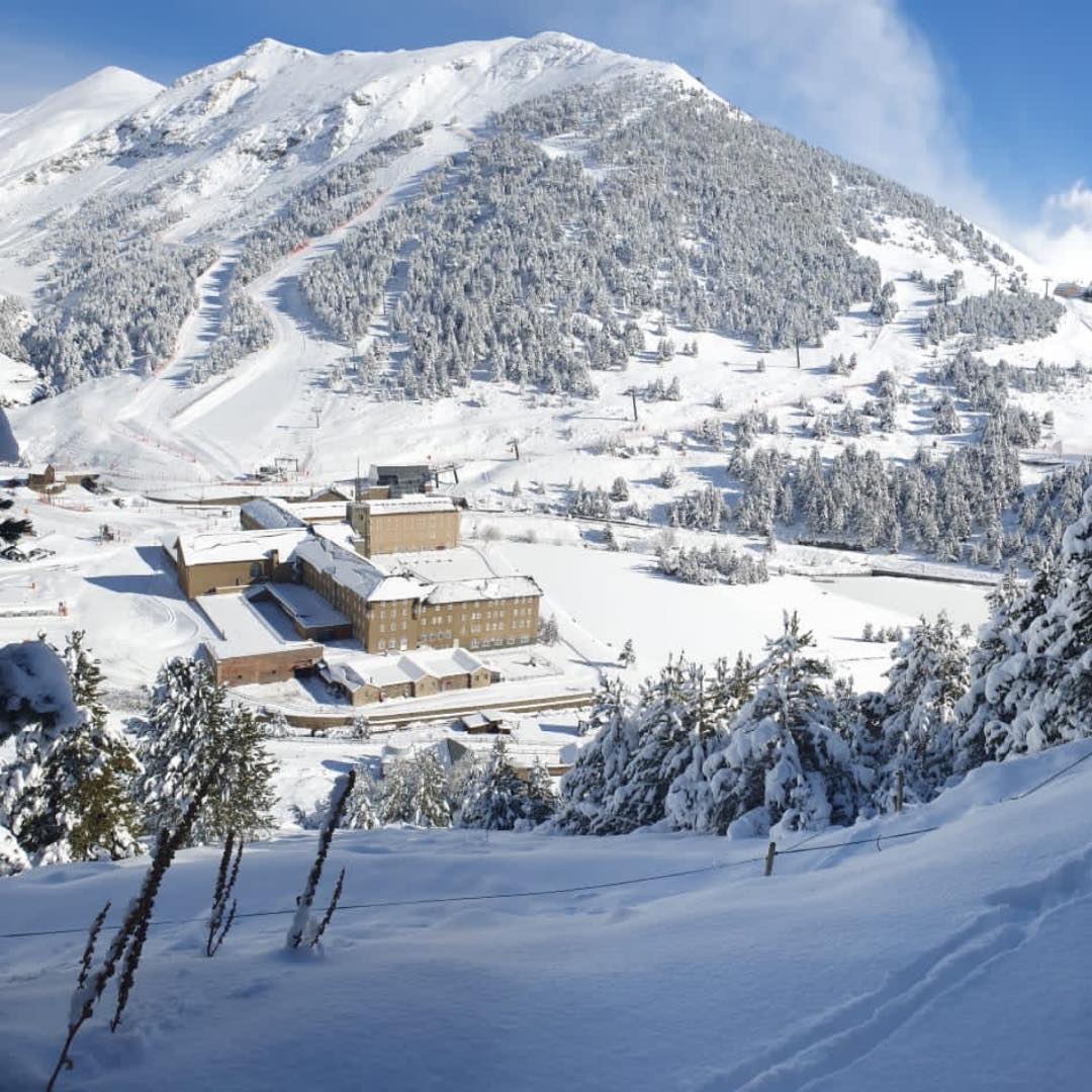 Квітучі сади, сонце і самобутня архітектура. Чому варто вирушити в Аліканте взимку