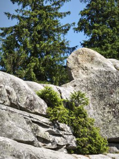 Painted Stone legend: Uncovering Ukrainian Carpathians’ mystical wish-granting symbol
