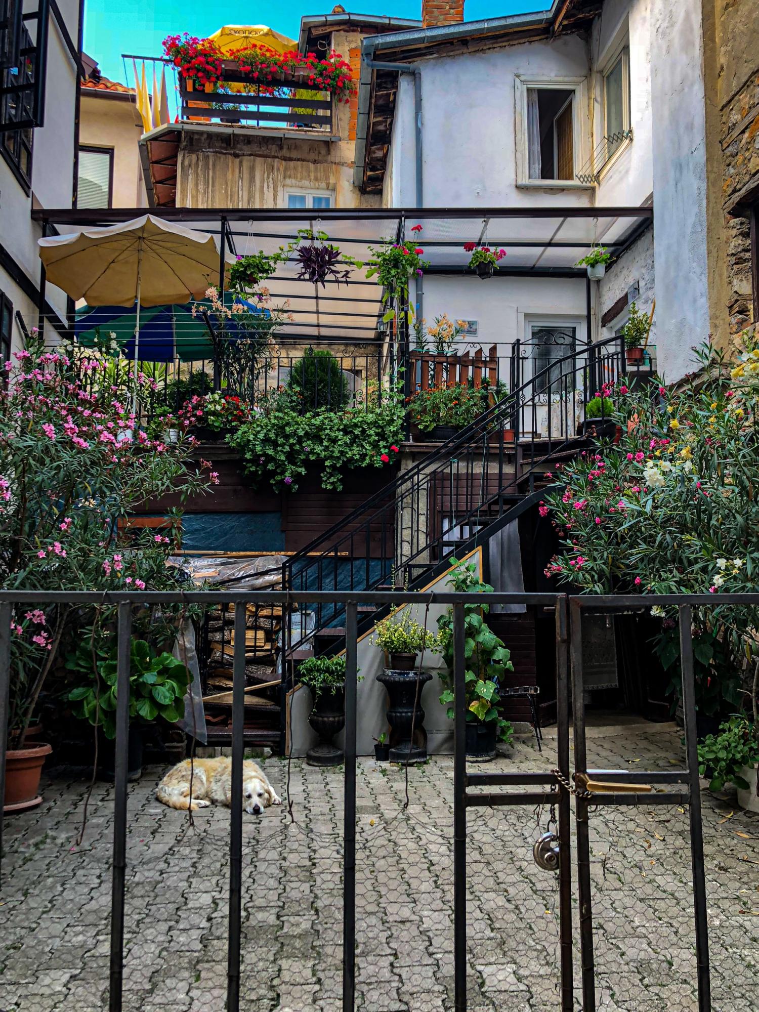 Озера, стародавні храми і терми: як бюджетно відпочити у Північній Македонії в оксамитовий сезон