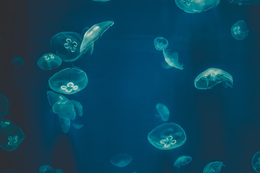 У 2022 році високий сезон на курортах Азовського моря може зміститися на червень, - прогноз