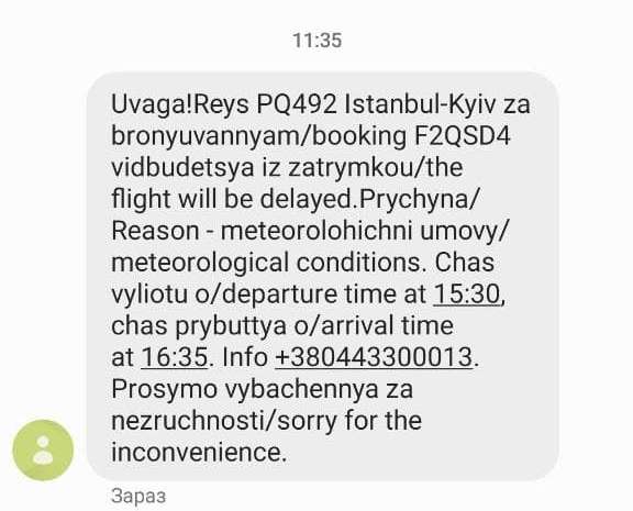 Погодный коллапс парализовал работу аэропорта. Стамбул накрыл масштабный снегопад: фото