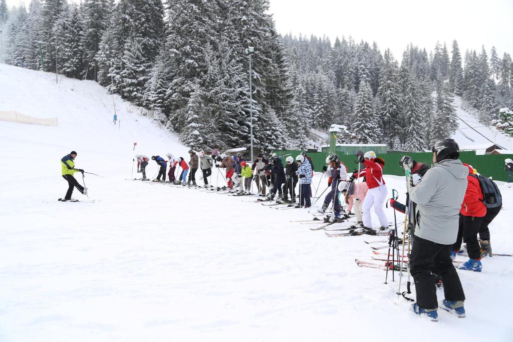Пикник на горе и сани с лошадьми: в Ворохте придумали увлекательные маршруты к вершинам заснеженных гор