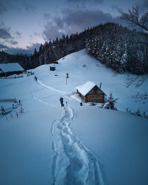 Пикник на горе и сани с лошадьми: в Ворохте придумали увлекательные маршруты к вершинам заснеженных гор
